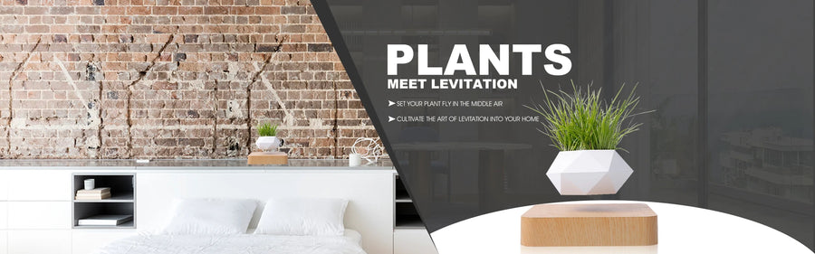 Levitating Air Bonsai Pot Rotation Flower Pot Planters Magnetic Floating Pot Potted Plant Flowers And Plants Home For Home Decor