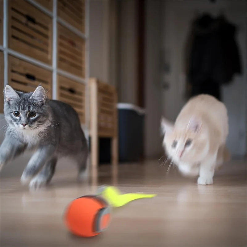 Smart Cat Toys Balls Automatic Interactive Pet Electric Rolling Teaser USB Rechargeable Kitty Moving Bouncing ball Mouse Car toy