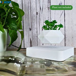 Levitating Air Bonsai Pot Rotation Flower Pot Planters Magnetic Floating Pot Potted Plant Flowers And Plants Home For Home Decor