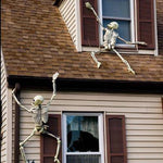 40/90cm Halloween Skeletons Fake Full Body Skull Bones Movable Halloween Party Decor for Home Bar Haunted House Horror Props