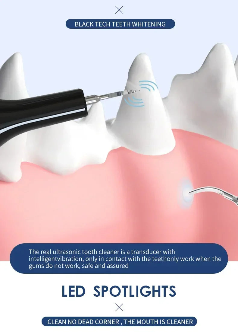 Pet Teeth Cleaning Tools Dog Toothbrushes Dog Supplies Pet Grooming Toothbrush Dental Stain Cleaning Pen Professional Products