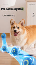 New Smart Pet Toy Ball Electric Interactive Game Automatic  Jumping Rolling Ball Rechargeable Moving Puppy Cat Entertainment Toy