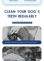 Pet Teeth Cleaning Tools Dog Toothbrushes Dog Supplies Pet Grooming Toothbrush Dental Stain Cleaning Pen Professional Products