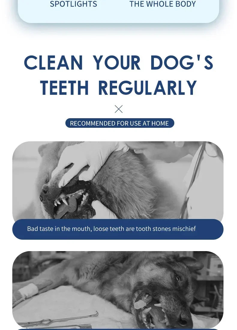 Pet Teeth Cleaning Tools Dog Toothbrushes Dog Supplies Pet Grooming Toothbrush Dental Stain Cleaning Pen Professional Products