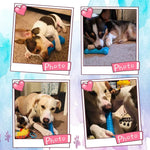 1PC Pet Chew Toy Soft Rubber Dog Toothbrushes Rubber Anti-biting Tooth Grinding Chew Stick for Small Dogs Training Pet Supplies