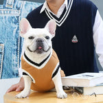 Warm Dog Sweater Winter Clothing Turtleneck Knitted Pet Cat Puppy Clothes Costume for Small Dogs Chihuahua Outfit Sweaters Vest