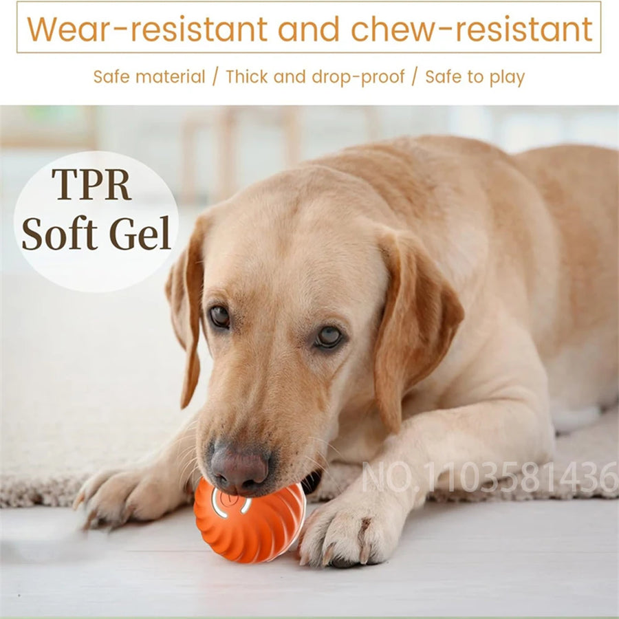 New Smart Pet Toy Ball Electric Interactive Game Automatic  Jumping Rolling Ball Rechargeable Moving Puppy Cat Entertainment Toy