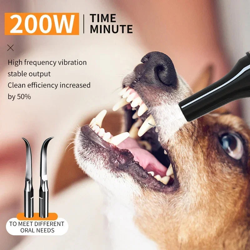 Pet Teeth Cleaning Tools Dog Toothbrushes Dog Supplies Pet Grooming Toothbrush Dental Stain Cleaning Pen Professional Products