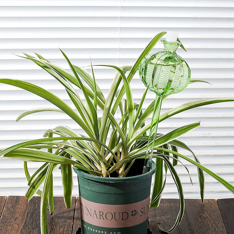 Glass Automatic Plant Watering Bulbs Shape Flower Plant Water Dripper Lightweight Houseplant Device Drip Irrigation System