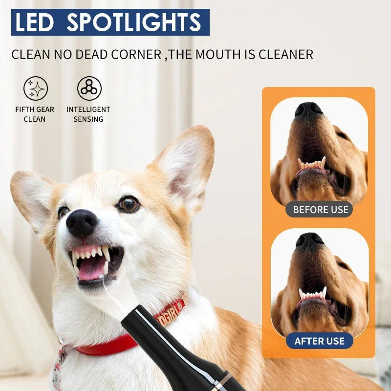 Pet Teeth Cleaning Tools Dog Toothbrushes Dog Supplies Pet Grooming Toothbrush Dental Stain Cleaning Pen Professional Products